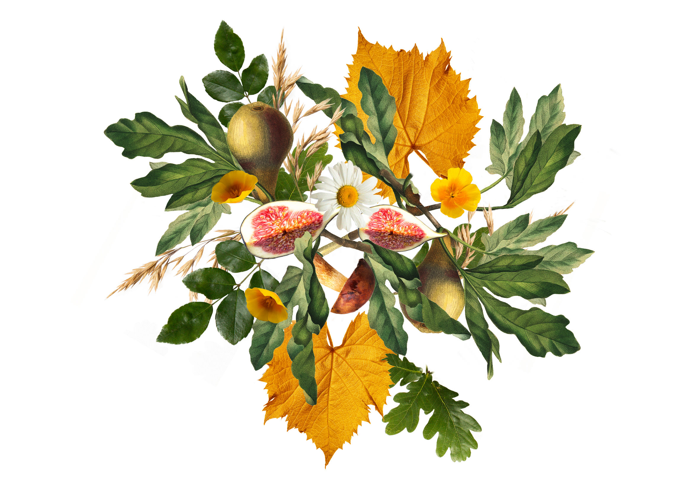 Waipara Wine & Food Festival Best Awards